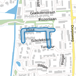 Kluut