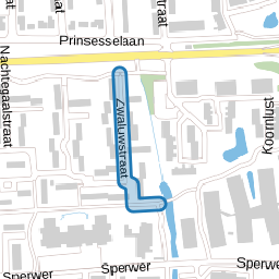 Zwaluwstraat
