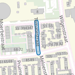 Tomatestraat