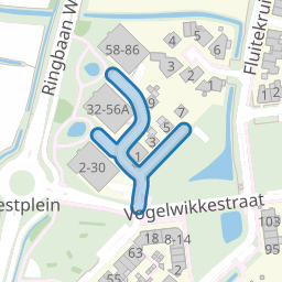 Weegbreepad