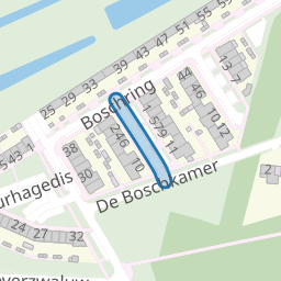 Dagpauwoog