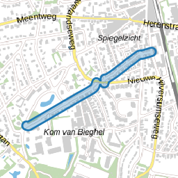 Beerensteinerlaan