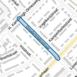 Goudenregenstraat