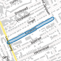 Koopweg