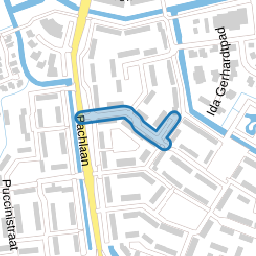 Nellie Bodenheimstraat