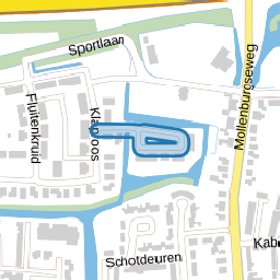 Wilgenroosje