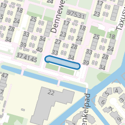 Tweede Coniferenhof