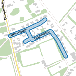 Boerhoorn