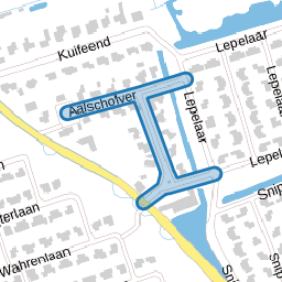 Aalscholver