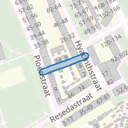 Anjelierstraat