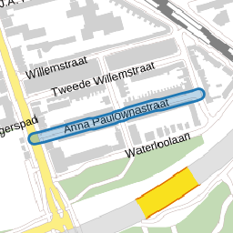 Anna Paulownastraat