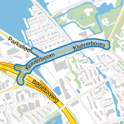 Kluiverboom