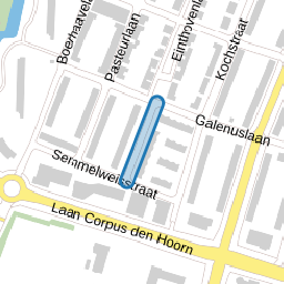 Paracelsusstraat