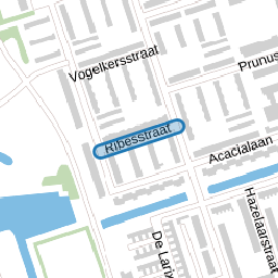 Ribesstraat