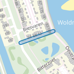 Biesvaren