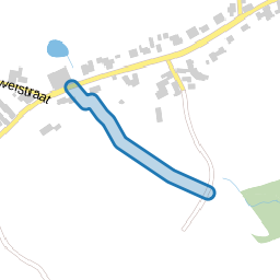 Kelderbeemdenpad-