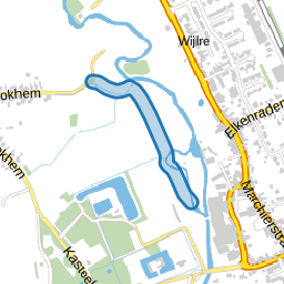 Zuurbeemdenpad