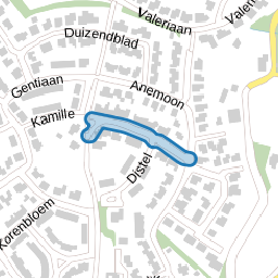 Boterbloem