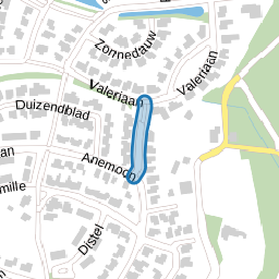 Dauwnetel