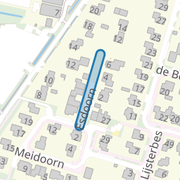 Esdoorn