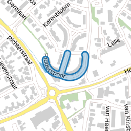 Ridderspoor