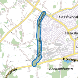 Westsingel