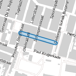 Colensostraat
