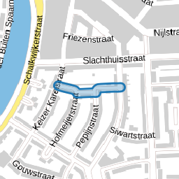 Paus Leostraat