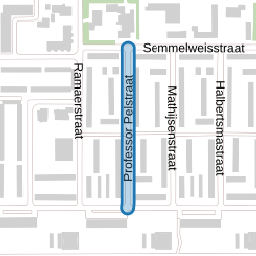 Professor Pelstraat