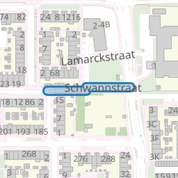 Schwannstraat