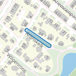Aronskelk