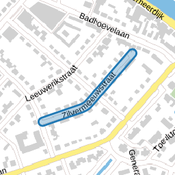 Zilvermeeuwstraat