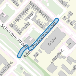Anna Paulownastraat