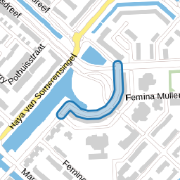 Femina Mullerpad