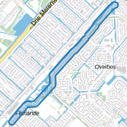 Skeelerpad