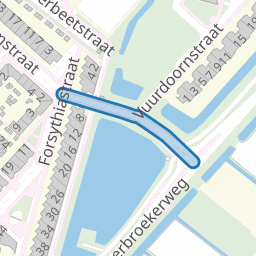Bruidsbloemstraat