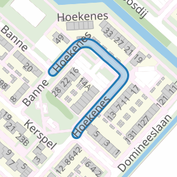 Hoekenes