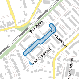 F de Vriendtstraat