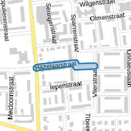 Hazelaarstraat