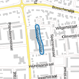 Seringenstraat