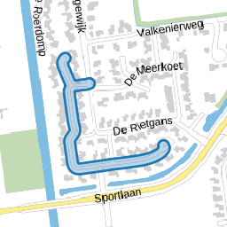 De Aalscholver
