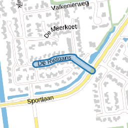 De Rietgans
