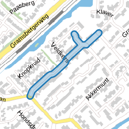 Ganzebloem