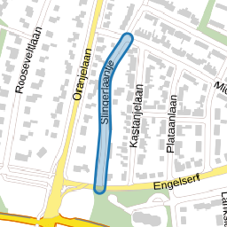 Slingerlaantje
