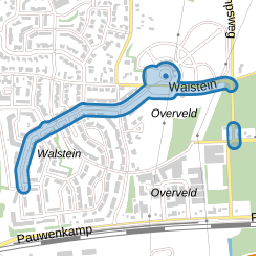 Walstein