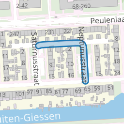 Neptunusstraat