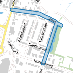 Allee