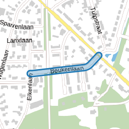 Beukenlaan