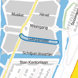 Ganzenveer