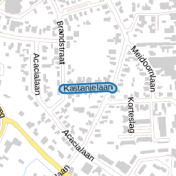 Kastanjelaan